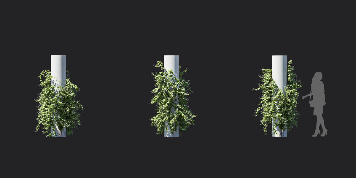Maxtree Plant Models Vol 37 Low Poly - Mesh 3D model_4