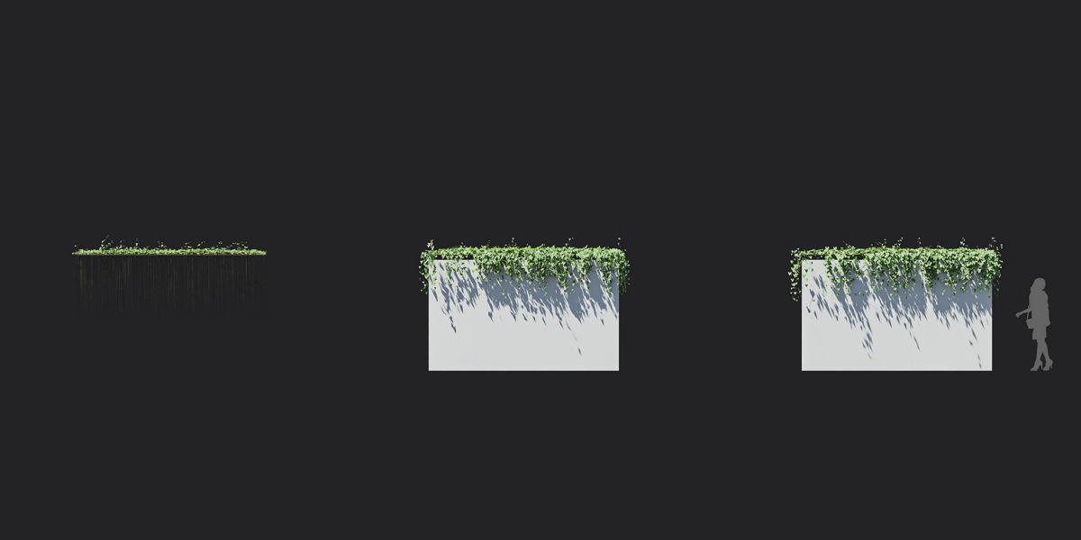 Maxtree Plant Models Vol 37 Low Poly - Mesh 3D model_3