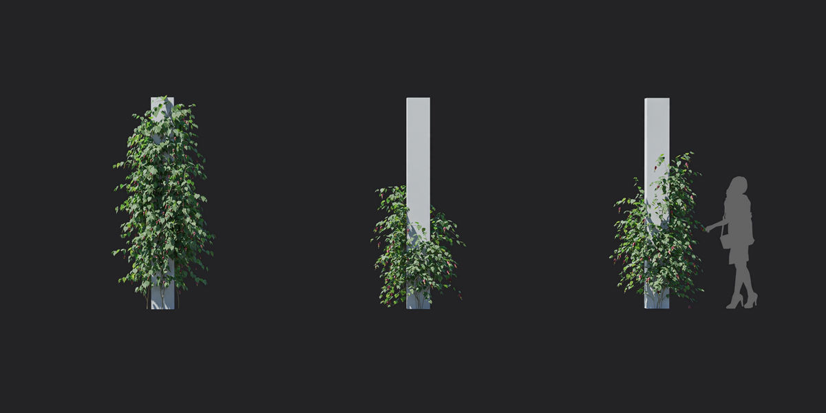 Maxtree Plant Models Vol 37 Low Poly - Mesh 3D model_29