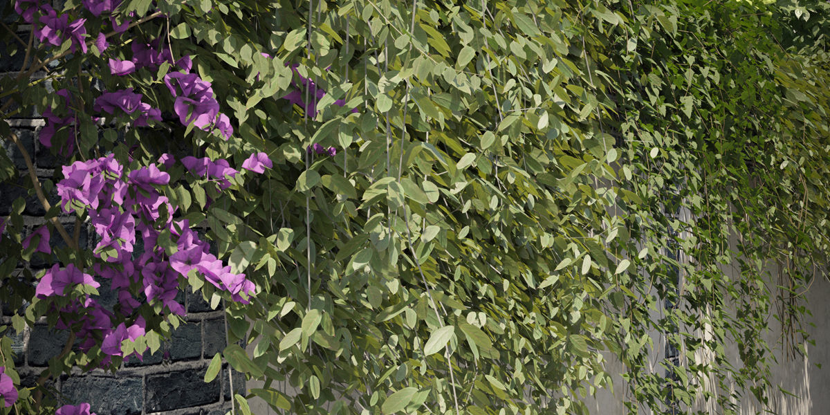 Maxtree Plant Models Vol 37 Low Poly - Mesh 3D model_1