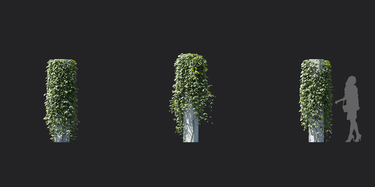 Maxtree Plant Models Vol 37 Low Poly - Mesh 3D model_10