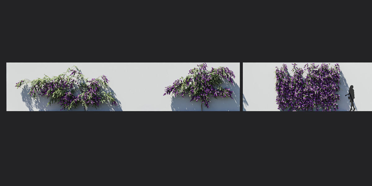 Maxtree Plant Models Vol 37 Low Poly - Mesh 3D model_28