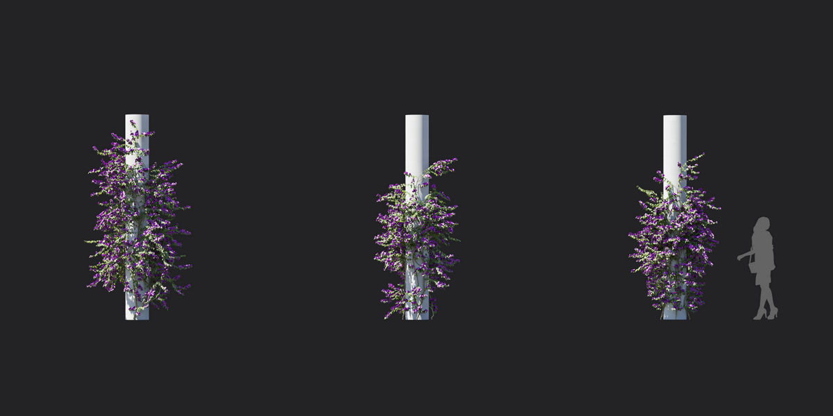 Maxtree Plant Models Vol 37 Low Poly - Mesh 3D model_22