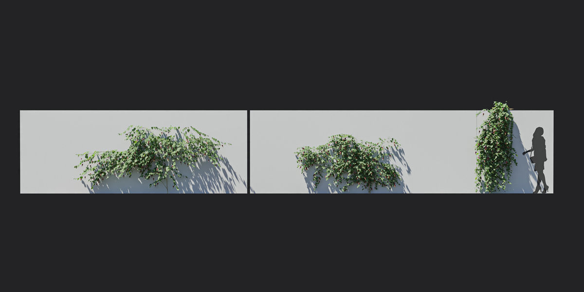 Maxtree Plant Models Vol 37 Low Poly - Mesh 3D model_6