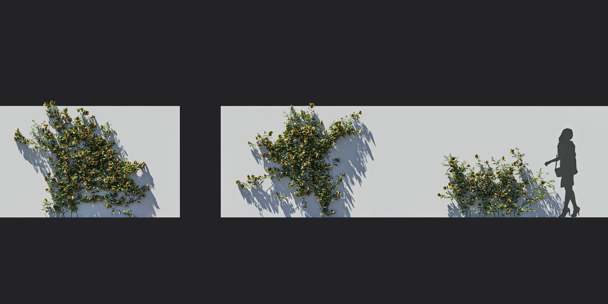 Maxtree Plant Models Vol 37 Low Poly - Mesh 3D model_26