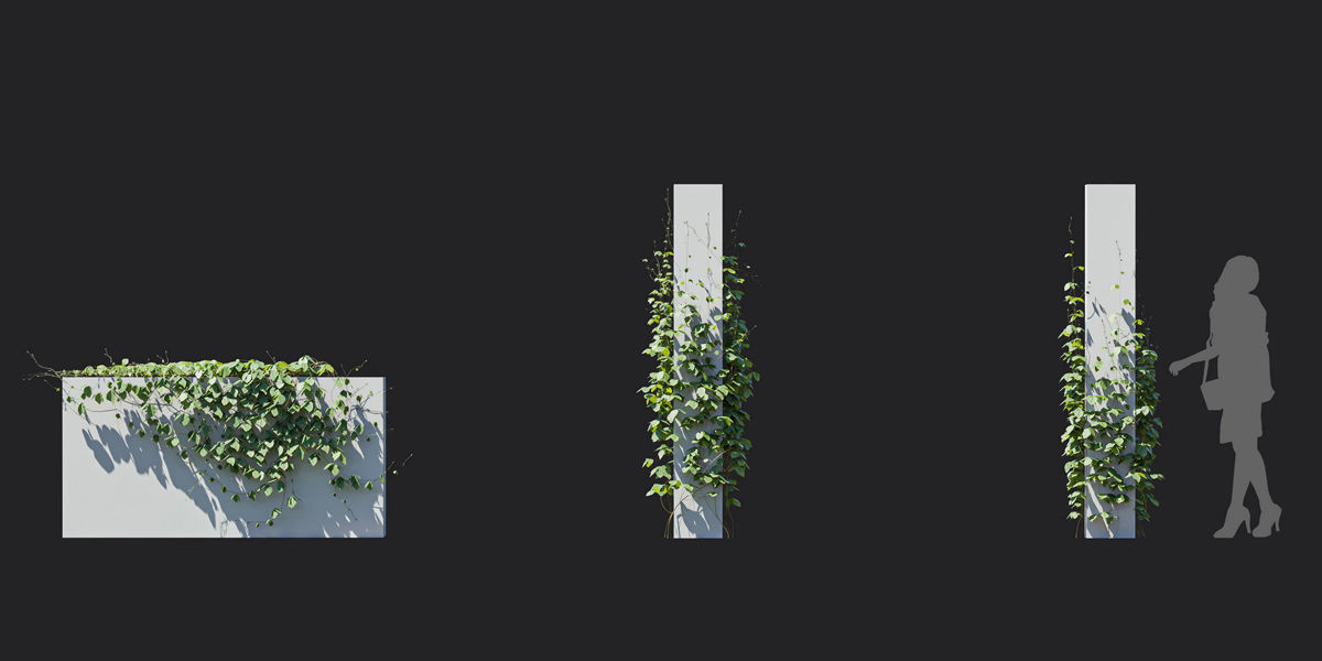 Maxtree Plant Models Vol 37 Low Poly - Mesh 3D model_5