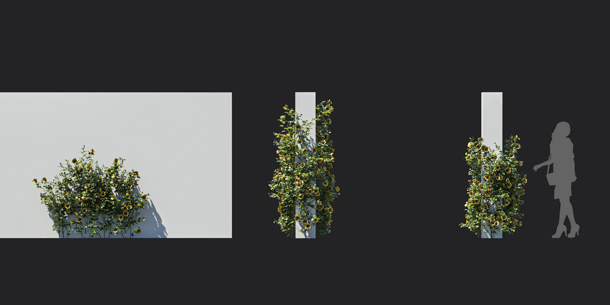 Maxtree Plant Models Vol 37 Low Poly - Mesh 3D model_21