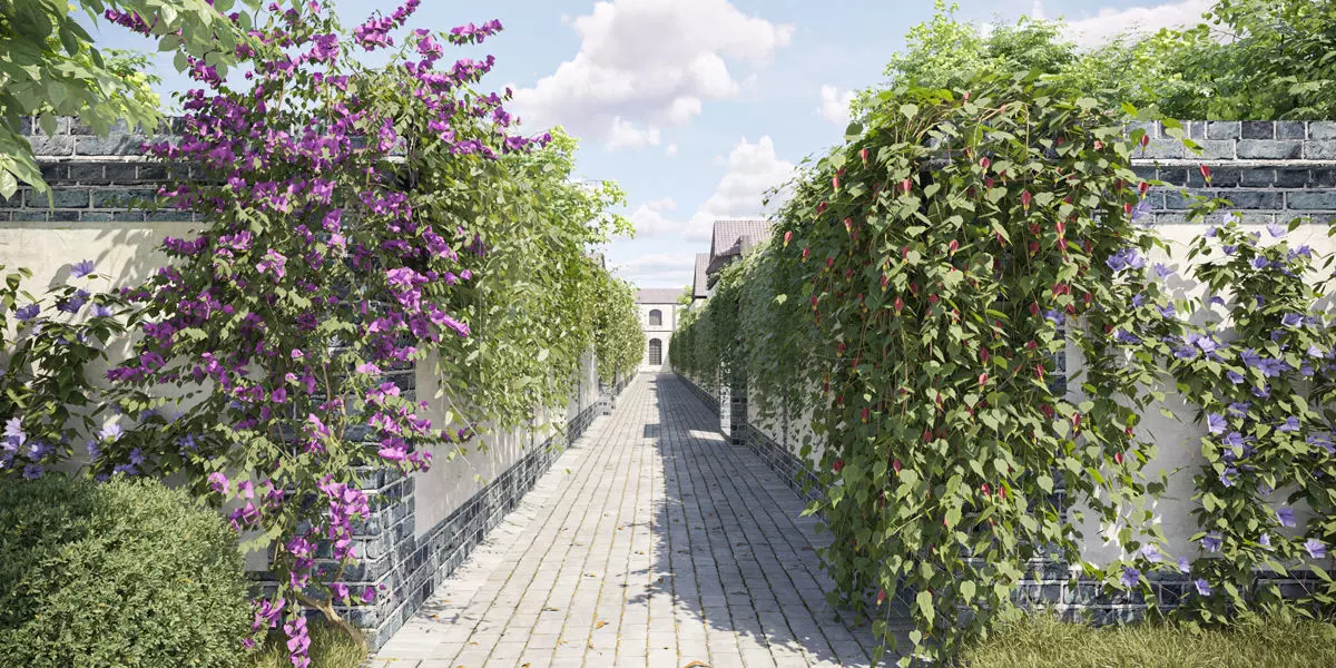 Maxtree Plant Models Vol 37 Low Poly - Mesh 3D model_0