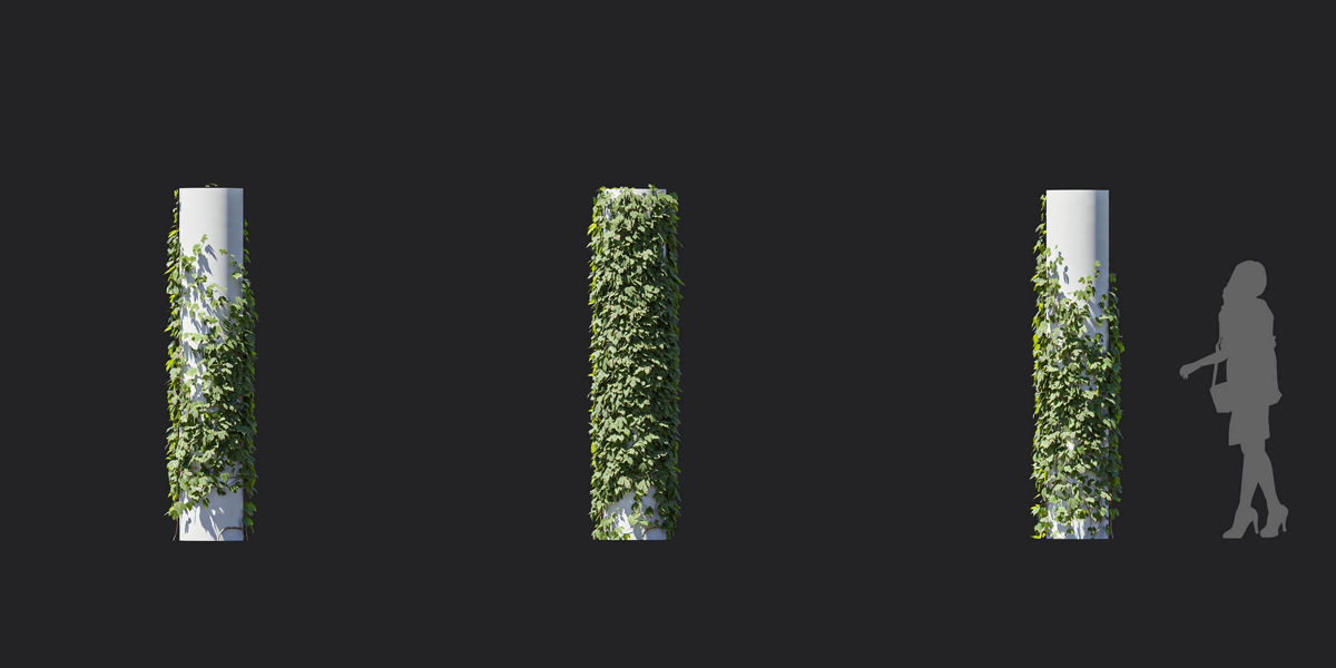 Maxtree Plant Models Vol 37 Low Poly - Mesh 3D model_16