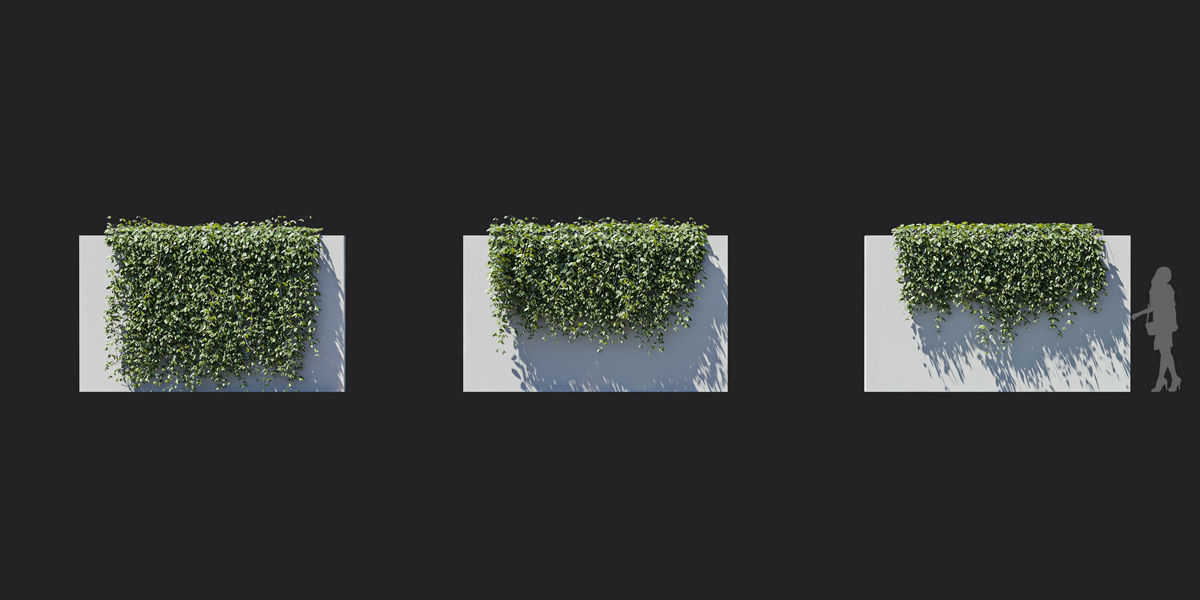 Maxtree Plant Models Vol 37 Low Poly - Mesh 3D model_23