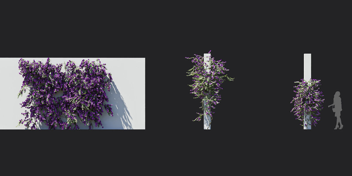 Maxtree Plant Models Vol 37 Low Poly - Mesh 3D model_30