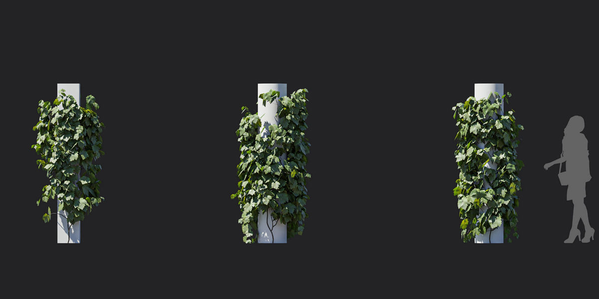 Maxtree Plant Models Vol 37 Low Poly - Mesh 3D model_32