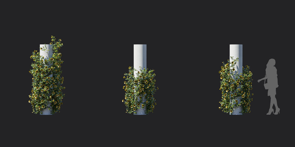 Maxtree Plant Models Vol 37 Low Poly - Mesh 3D model_31
