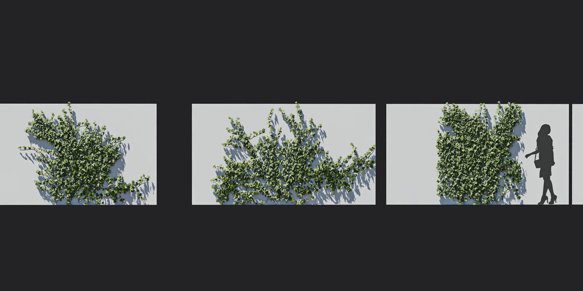 Maxtree Plant Models Vol 37 Low Poly - Mesh 3D model_8
