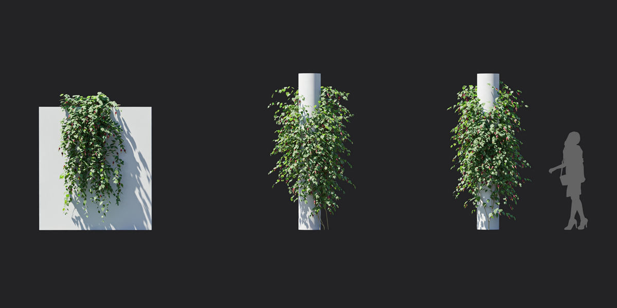 Maxtree Plant Models Vol 37 Low Poly - Mesh 3D model_25