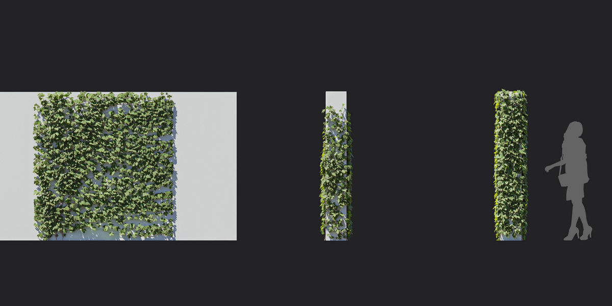 Maxtree Plant Models Vol 37 Low Poly - Mesh 3D model_12