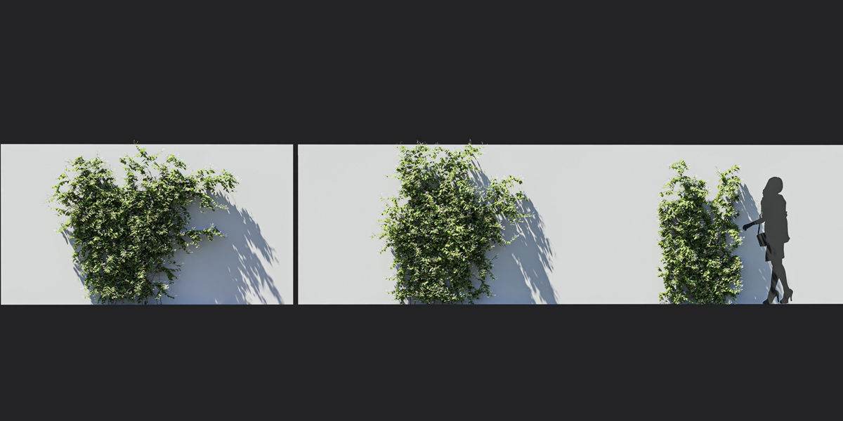 Maxtree Plant Models Vol 37 Low Poly - Mesh 3D model_17