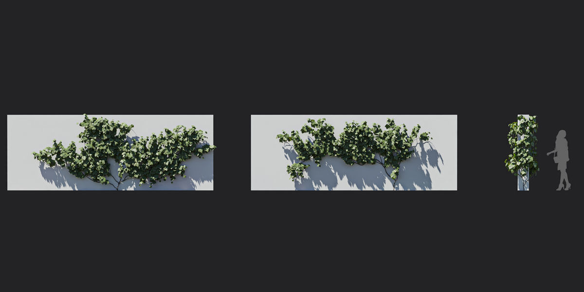 Maxtree Plant Models Vol 37 Low Poly - Mesh 3D model_24