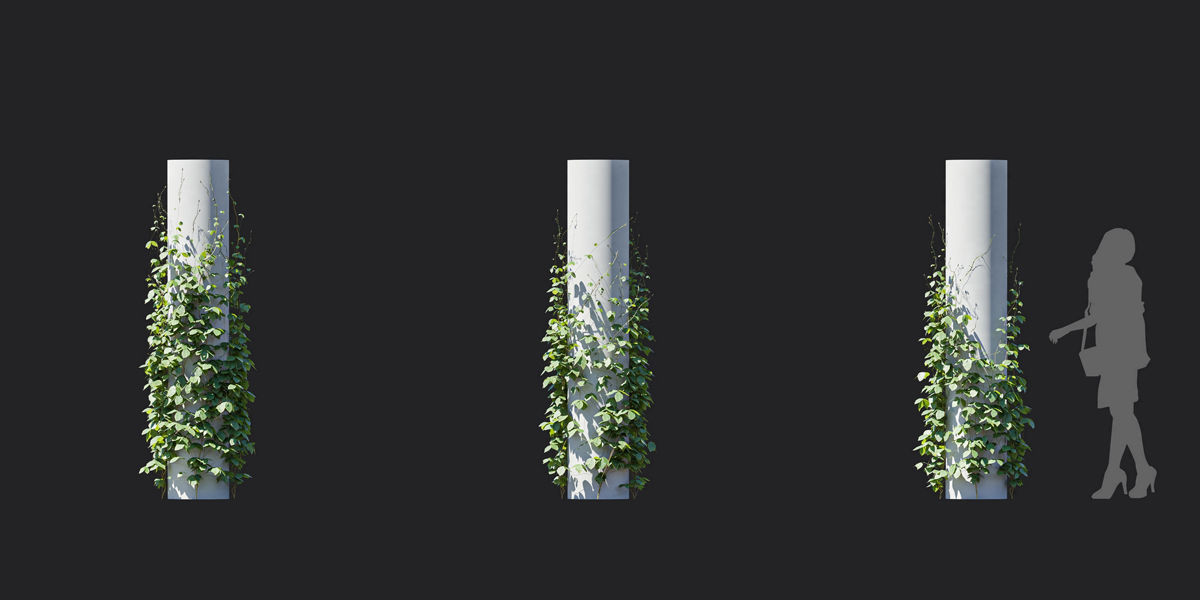 Maxtree Plant Models Vol 37 Low Poly - Mesh 3D model_9