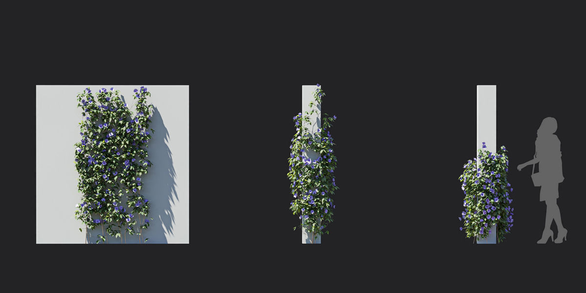 Maxtree Plant Models Vol 37 Low Poly - Mesh 3D model_19