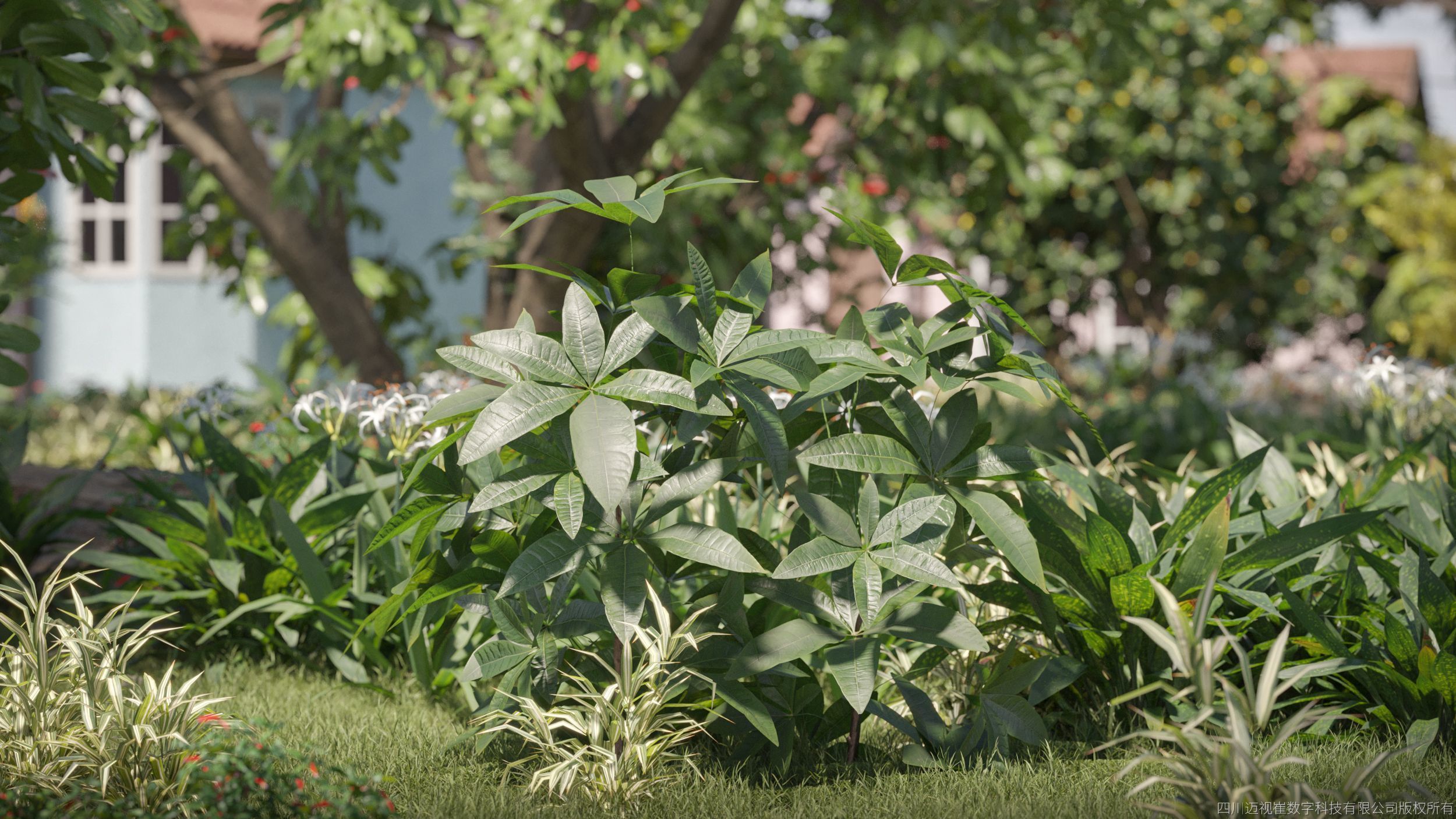 Maxtree Plant Models Vol 38 Low Poly - Mesh 3D model_1