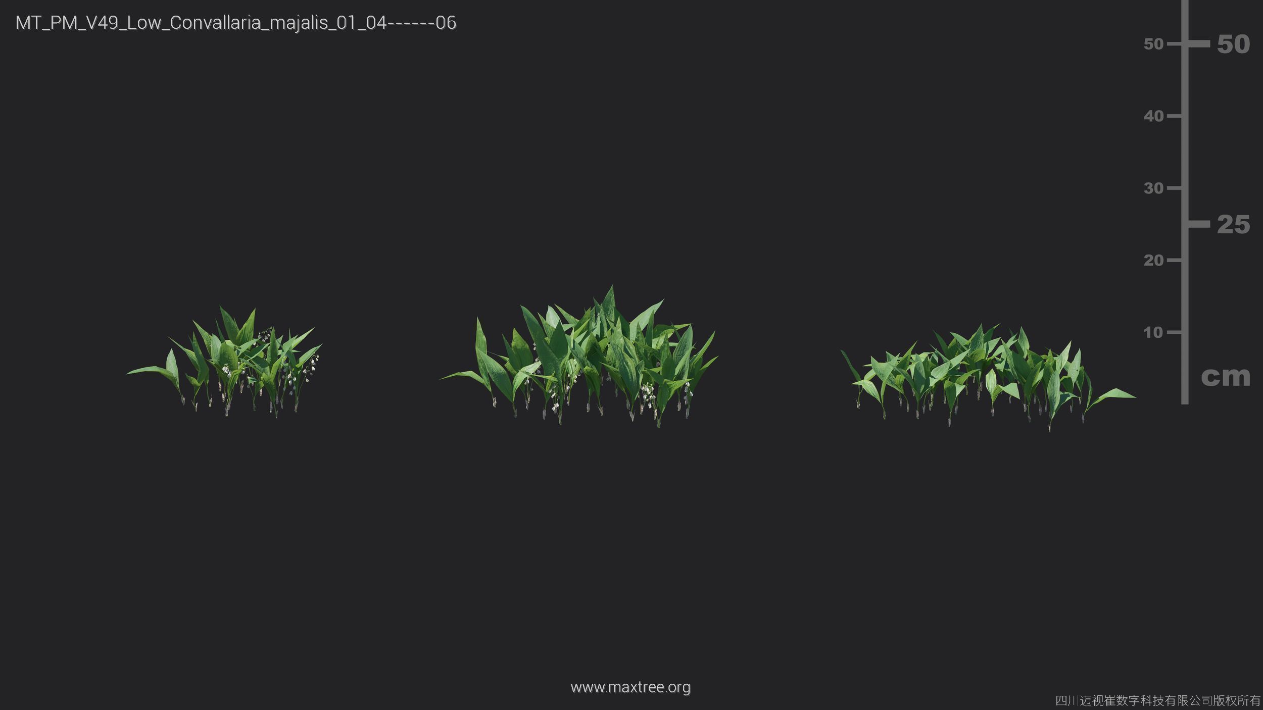 Maxtree Plant Models Vol 49 Low Poly - Mesh 3D model_10