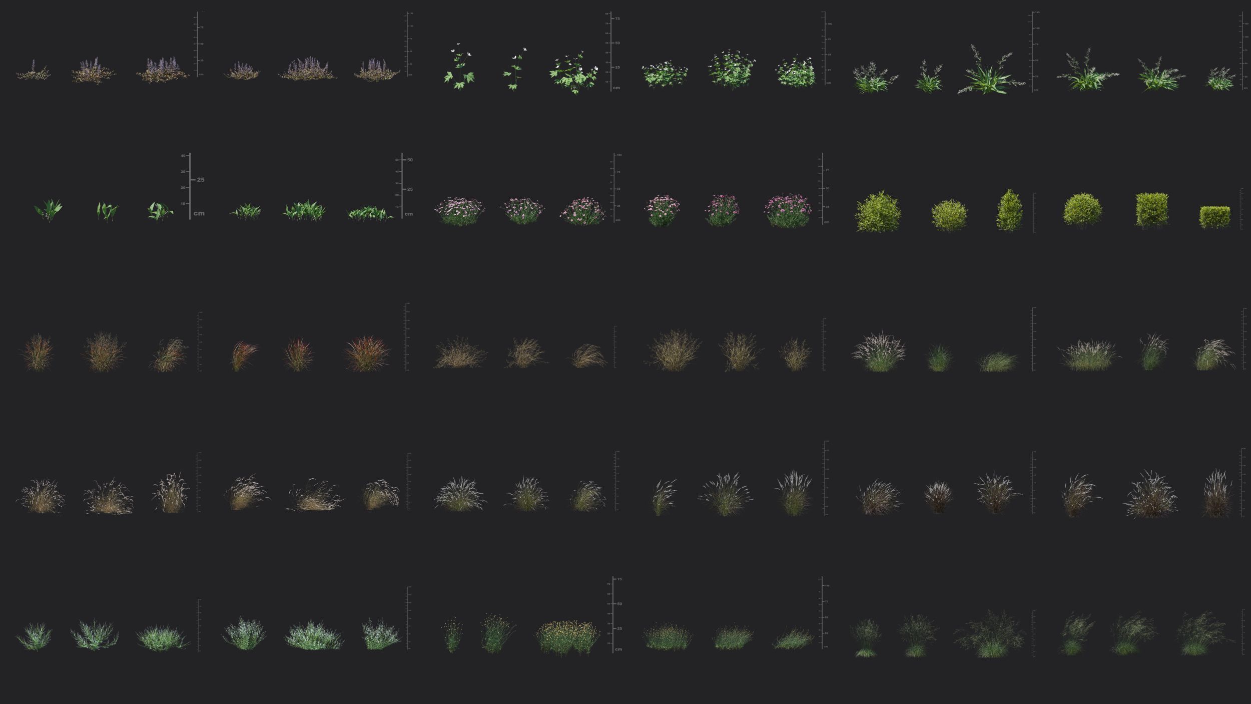 Maxtree Plant Models Vol 49 Low Poly - Mesh 3D model_2