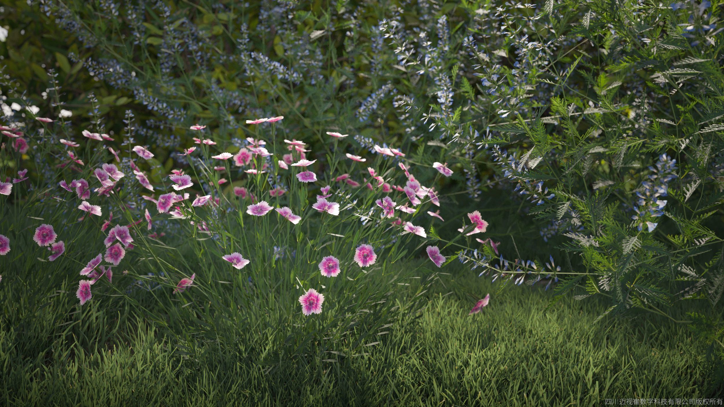 Maxtree Plant Models Vol 49 Low Poly - Mesh 3D model_1