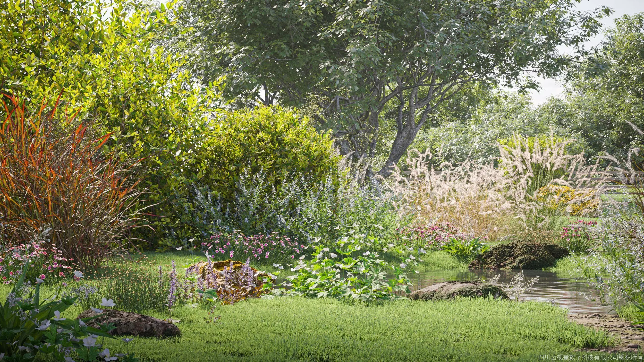 Maxtree Plant Models Vol 49 Low Poly - Mesh 3D model_0