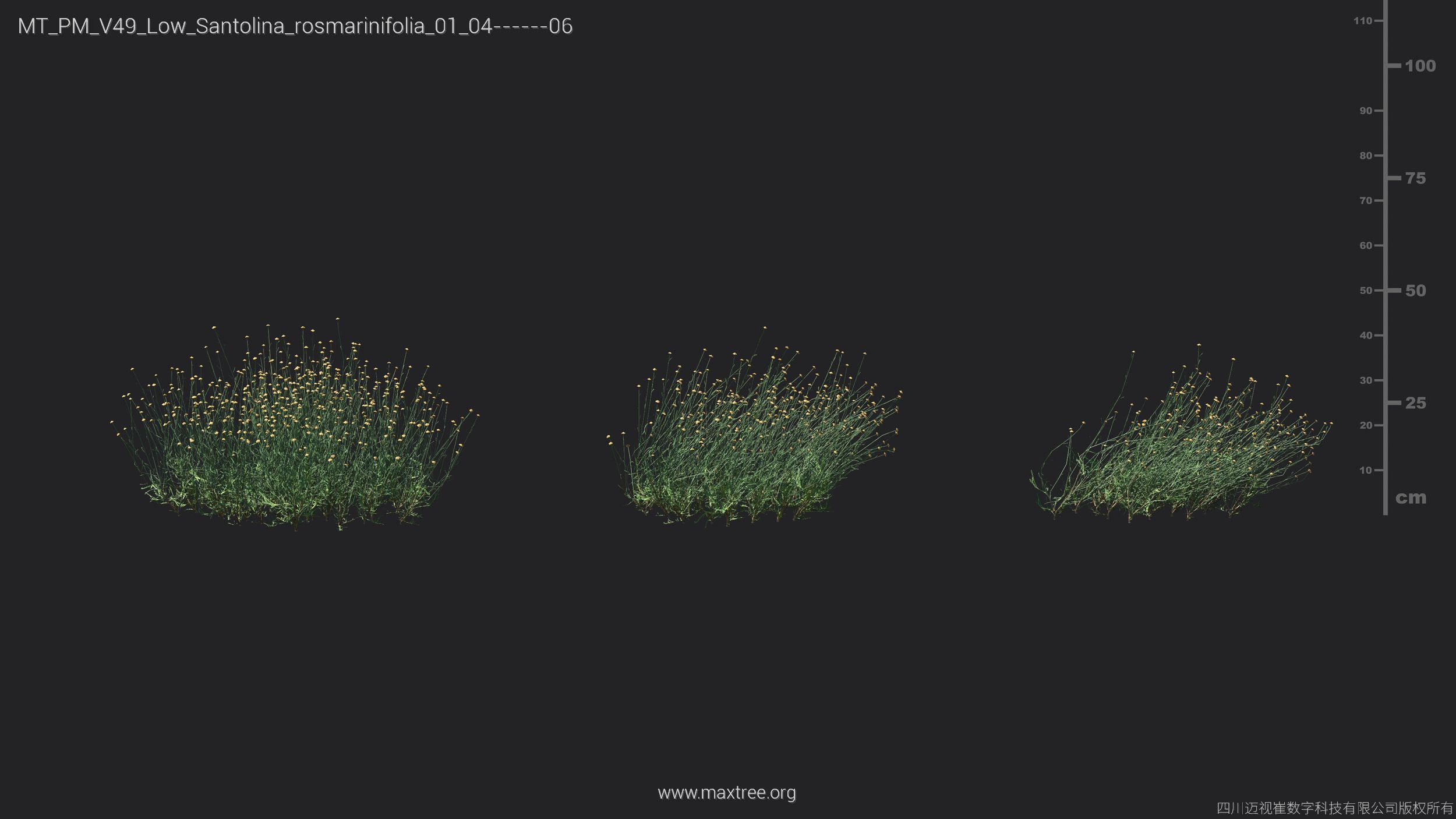 Maxtree Plant Models Vol 49 Low Poly - Mesh 3D model_30