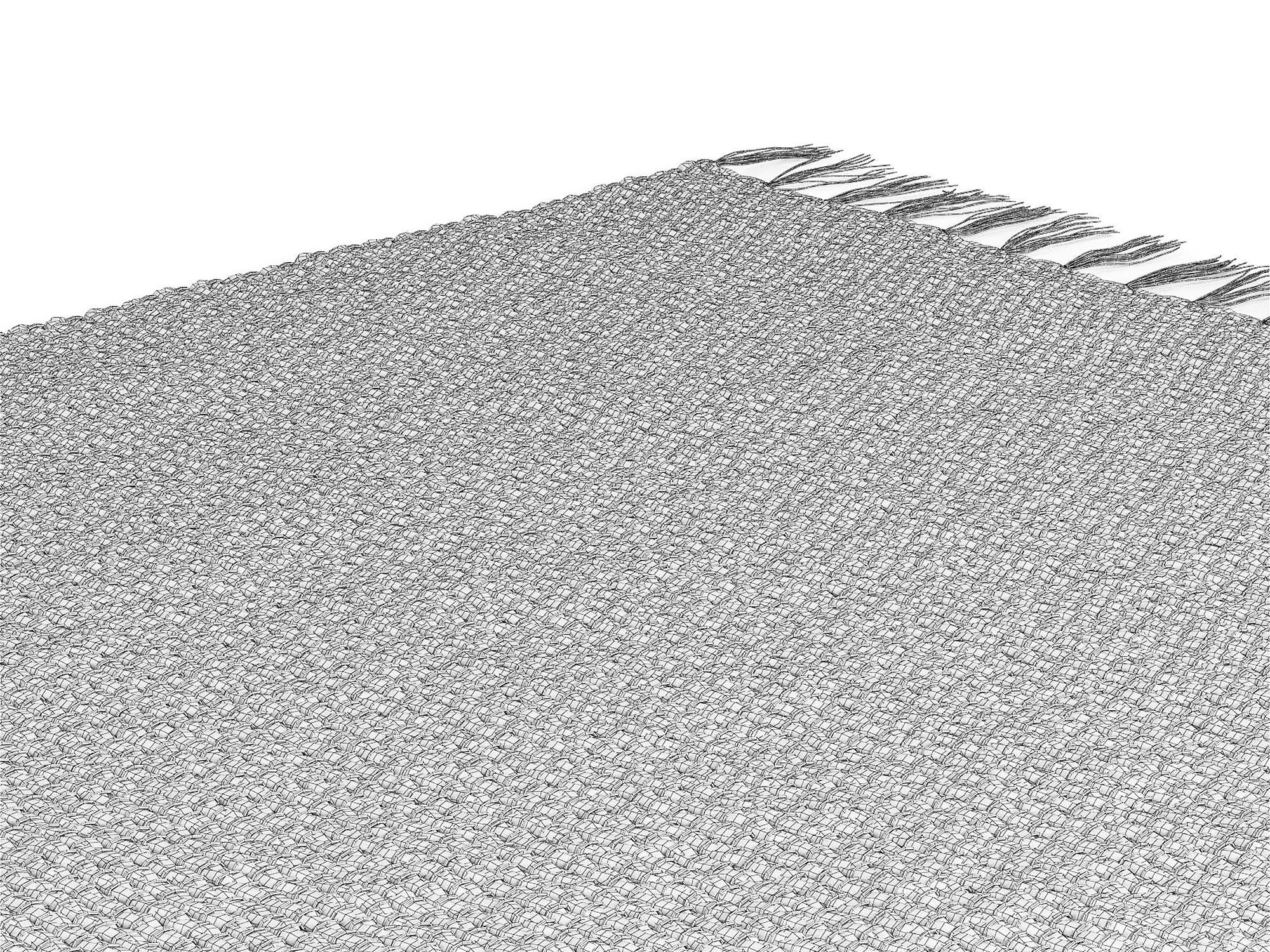 Willow Water Hyacinth Rug 215x150cm RendezVousDeco 3D model_9