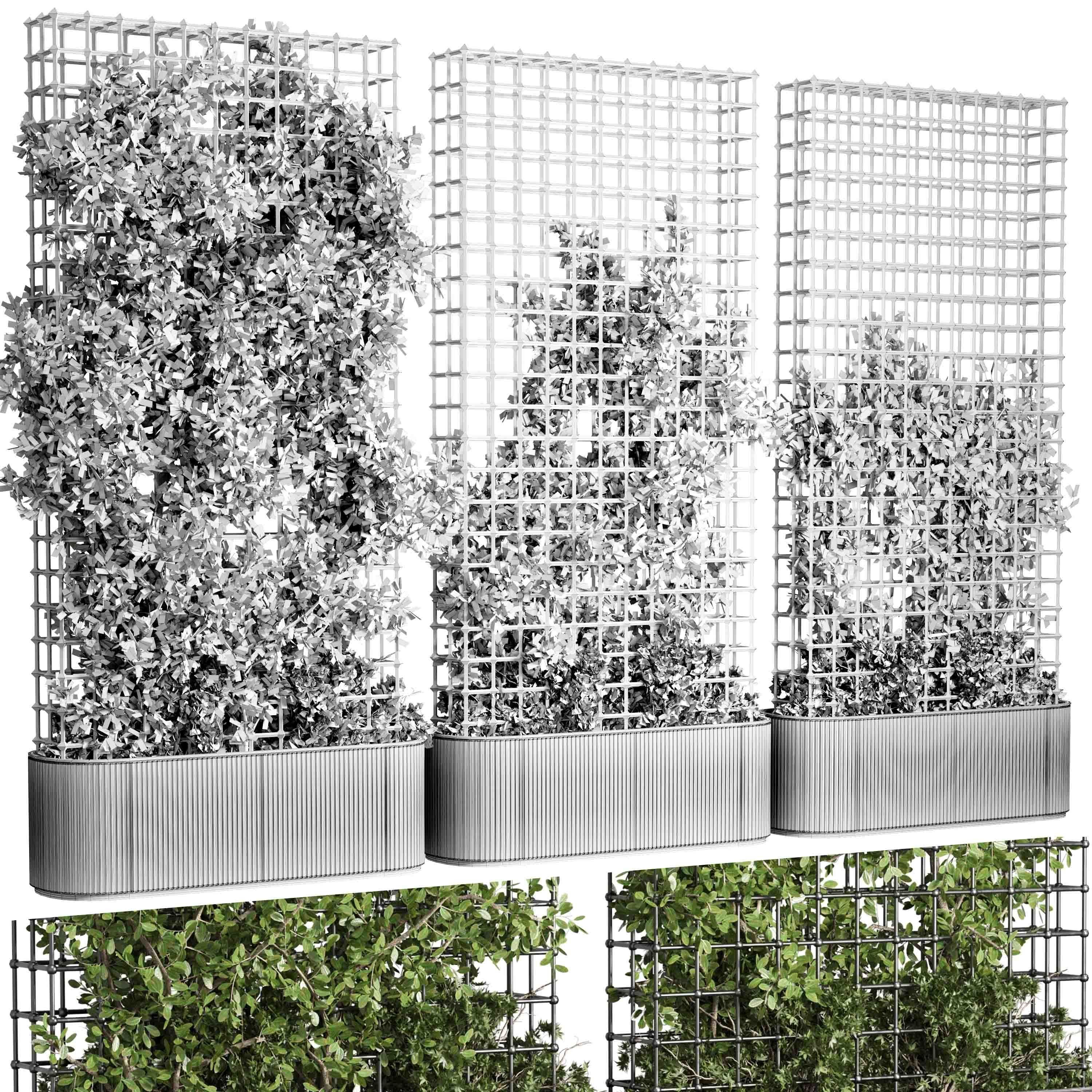 Vertical Garden Partiton Set 493 - Ivy on the fence 3D model_6