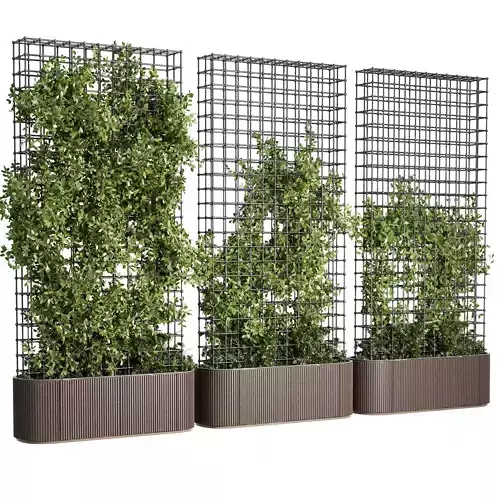 Vertical Garden Partiton Set 493 - Ivy on the fence 3D model Vertical Garden Partiton Set 493 - Ivy on the fence 3D model