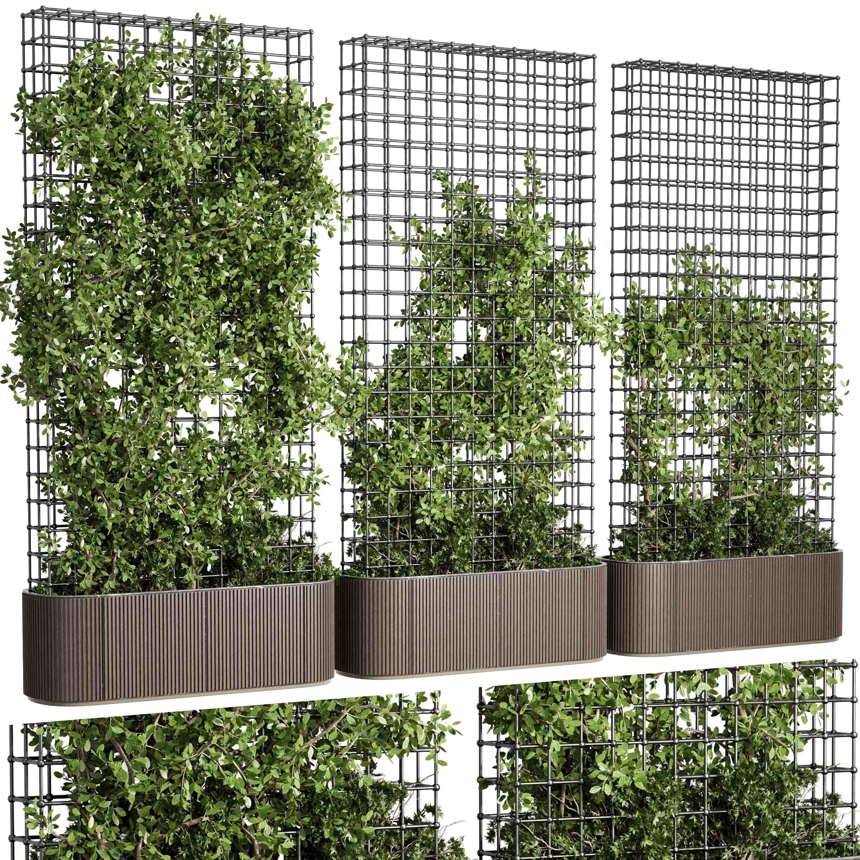 Vertical Garden Partiton Set 493 - Ivy on the fence 3D model_1