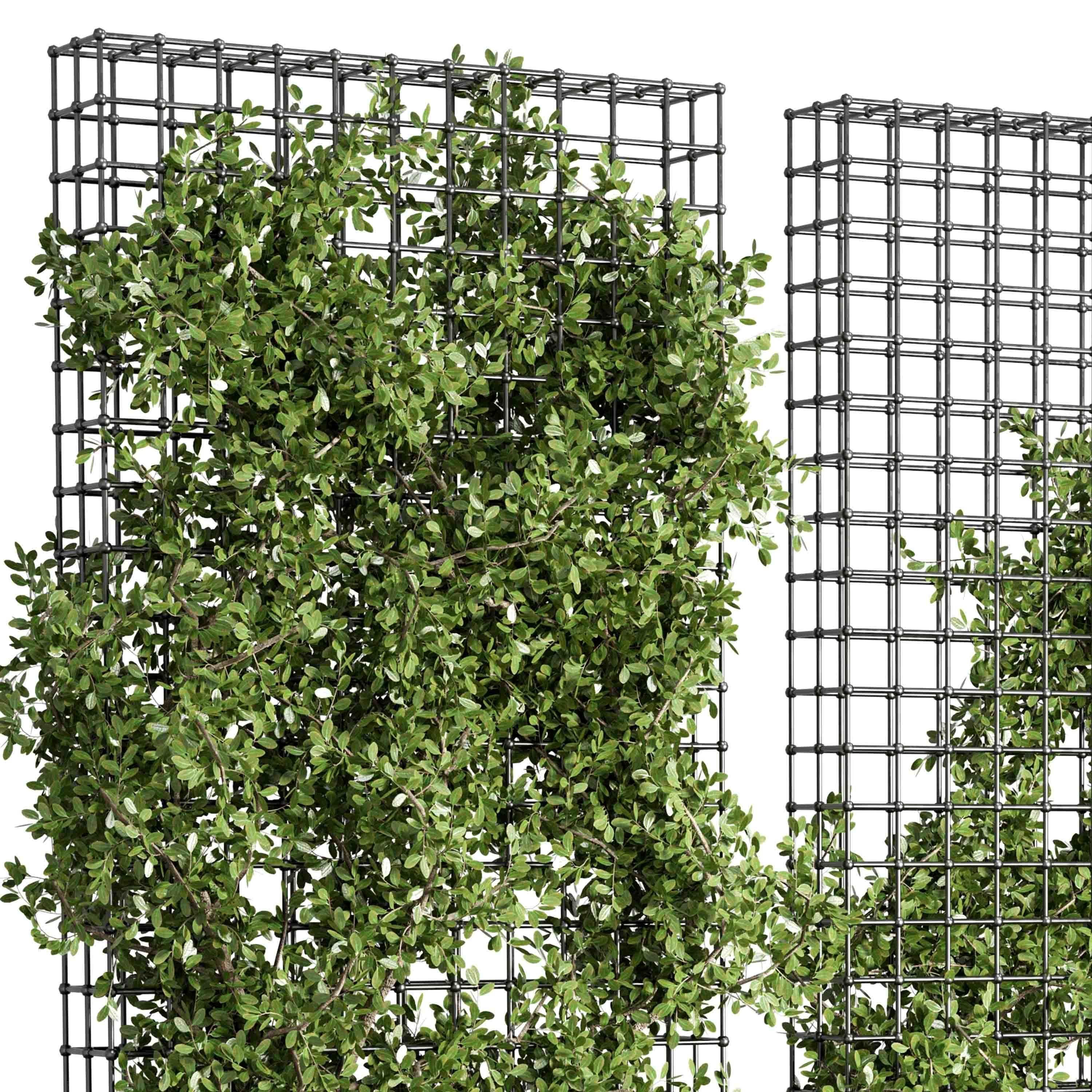 Vertical Garden Partiton Set 493 - Ivy on the fence 3D model_3