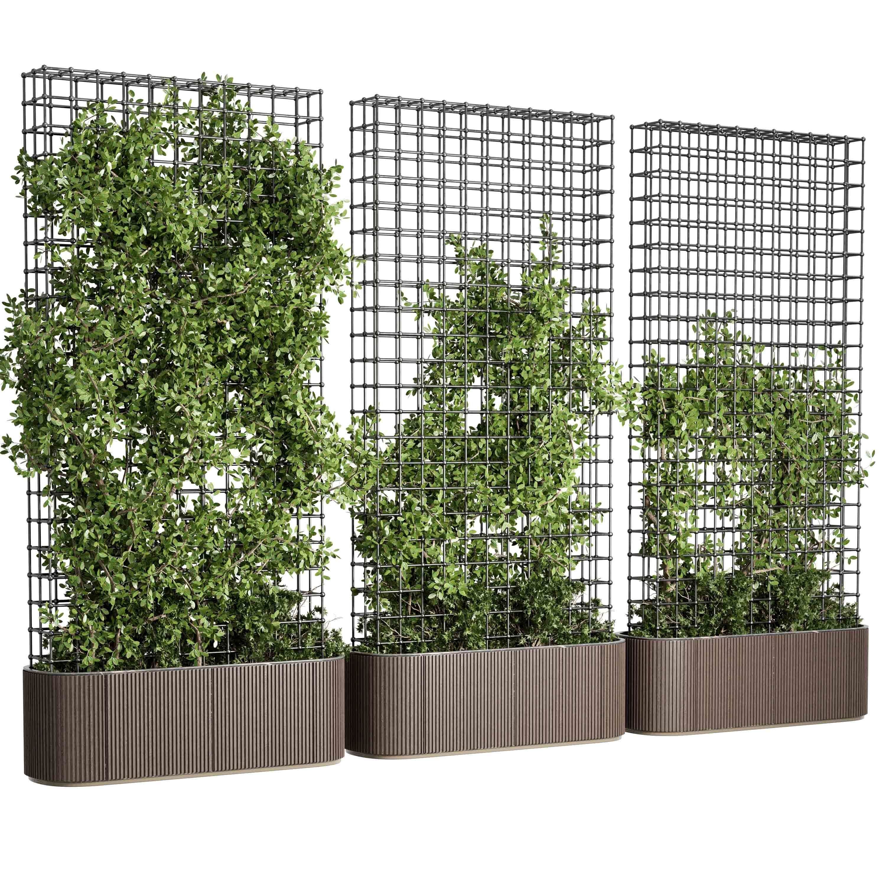 Vertical Garden Partiton Set 493 - Ivy on the fence 3D model_5