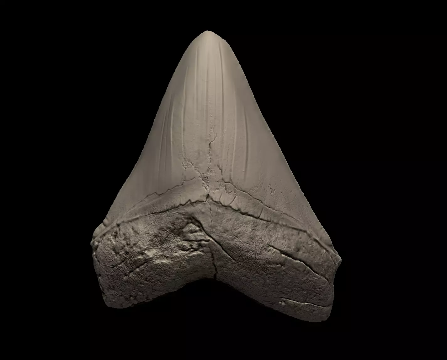 Megalodon Tooth 3D print model