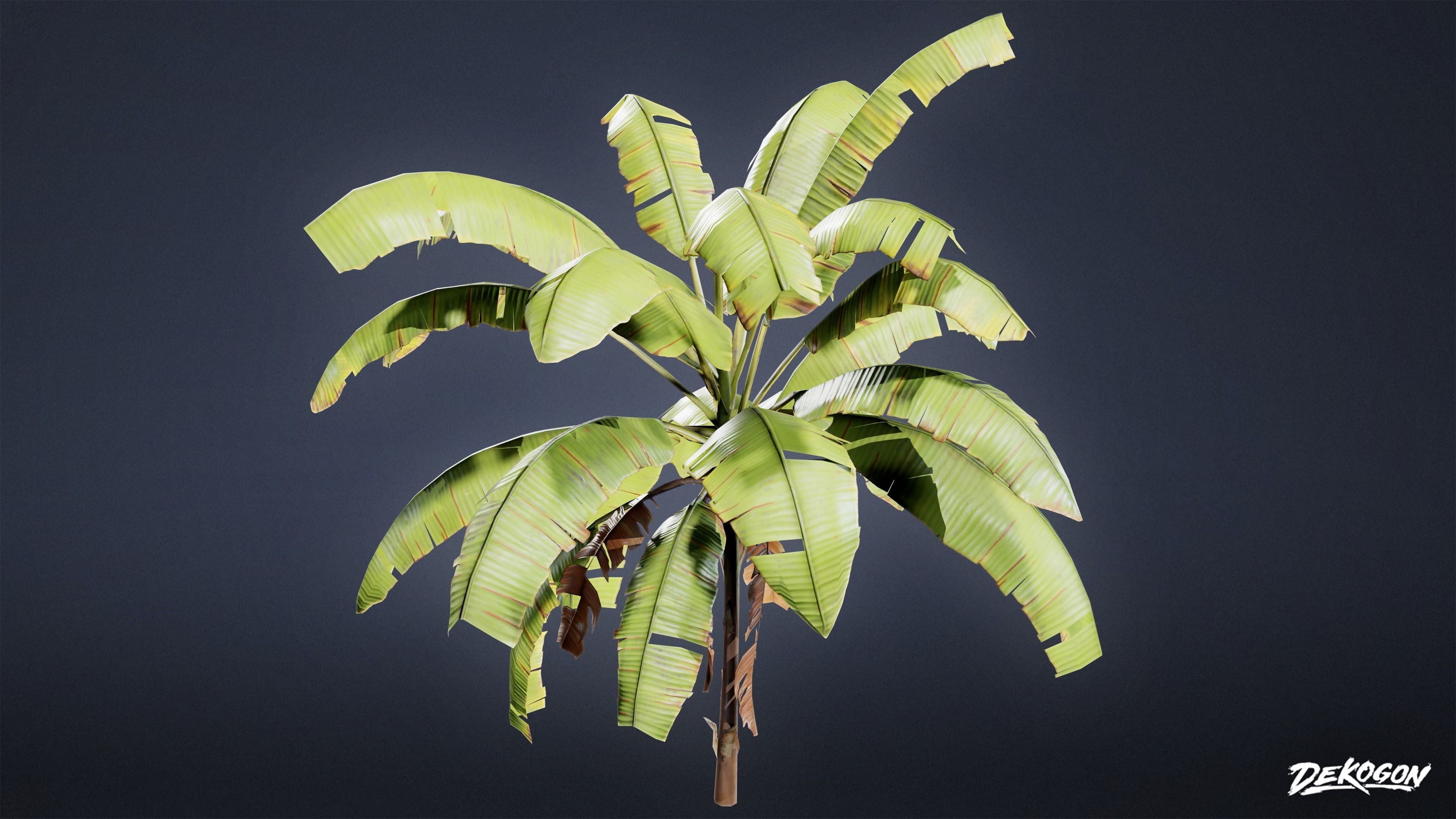 TROPICAL FOLIAGE - Banana Plants 01 - LOW POLY Low-poly 3D model_8