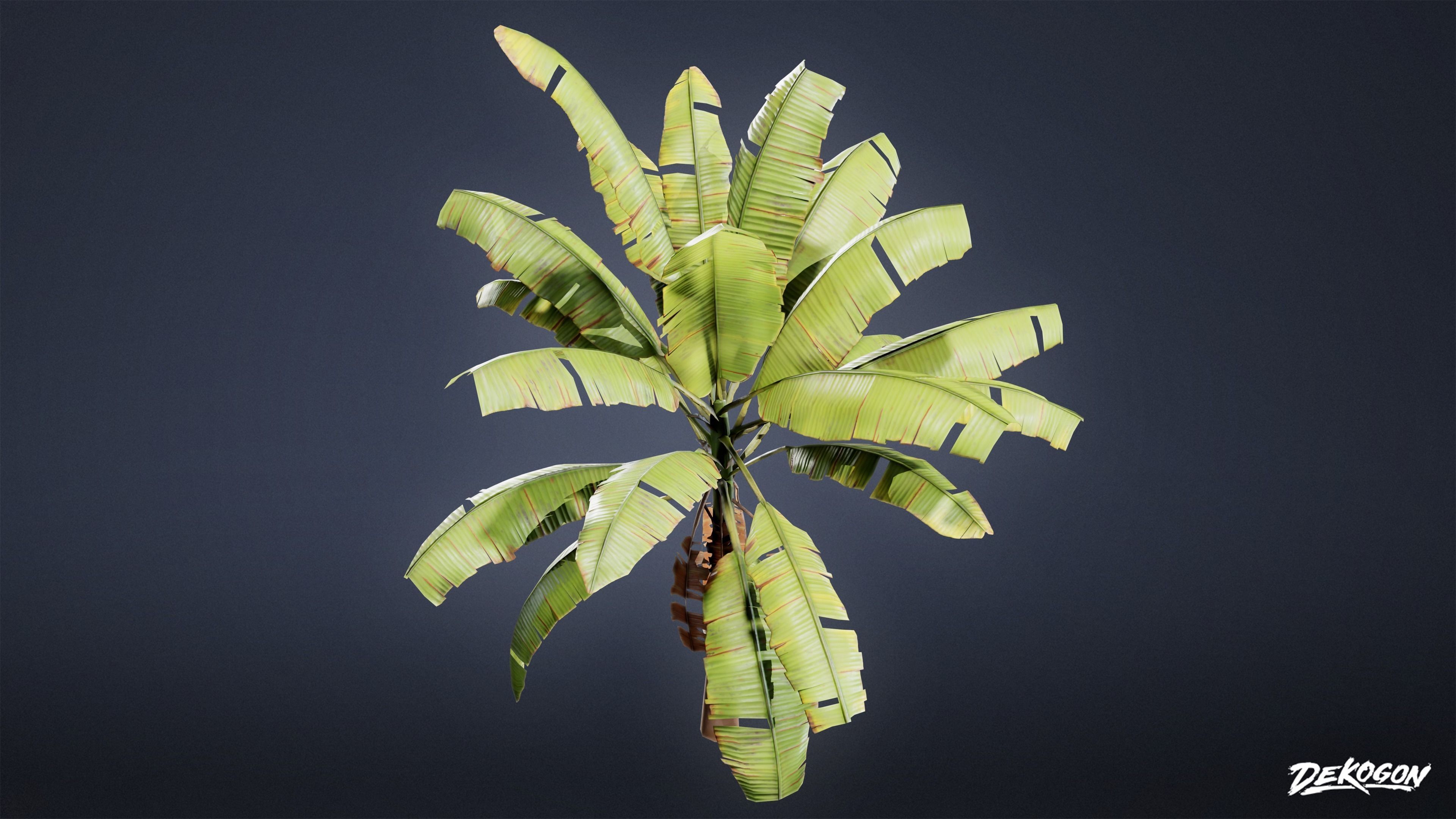 TROPICAL FOLIAGE - Banana Plants 01 - LOW POLY Low-poly 3D model_10