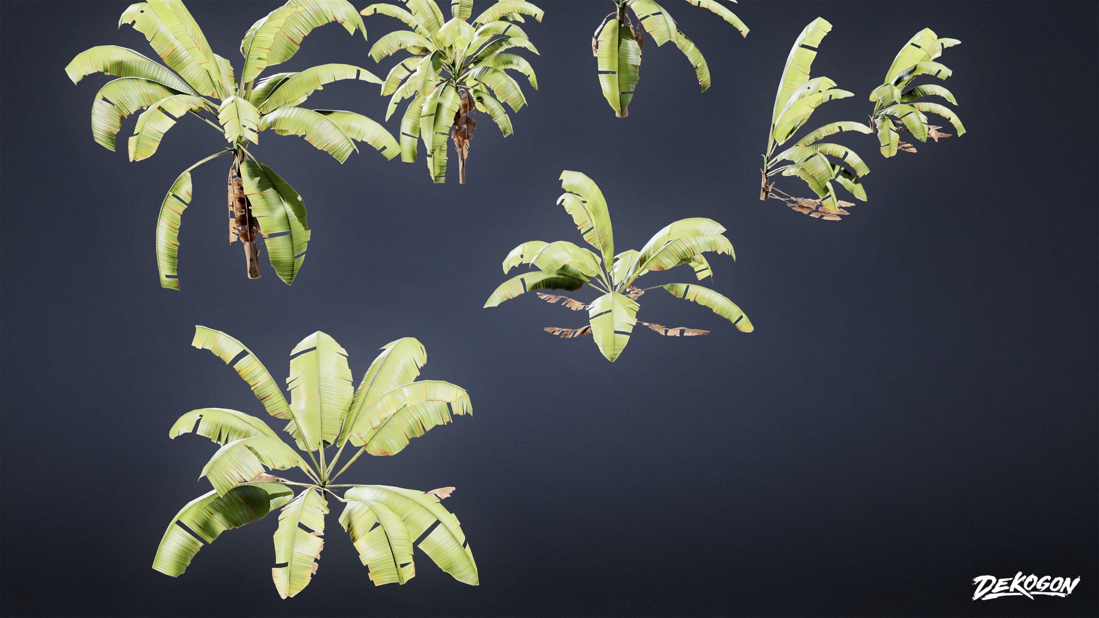 TROPICAL FOLIAGE - Banana Plants 01 - LOW POLY Low-poly 3D model_6