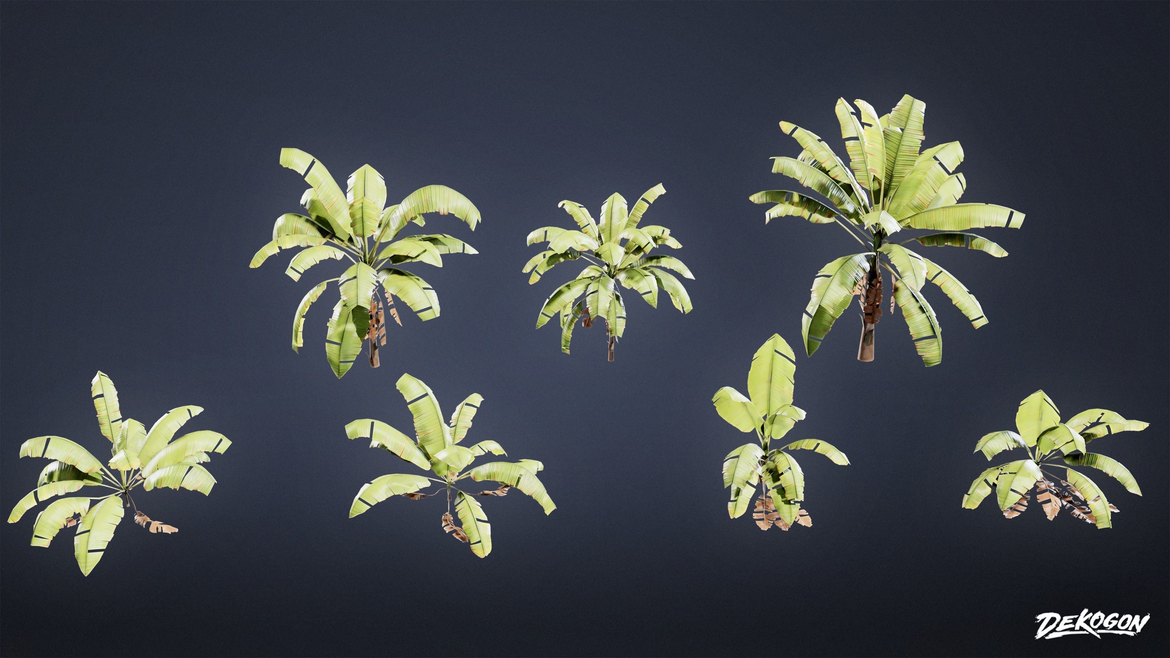 TROPICAL FOLIAGE - Banana Plants 01 - LOW POLY Low-poly 3D model_1