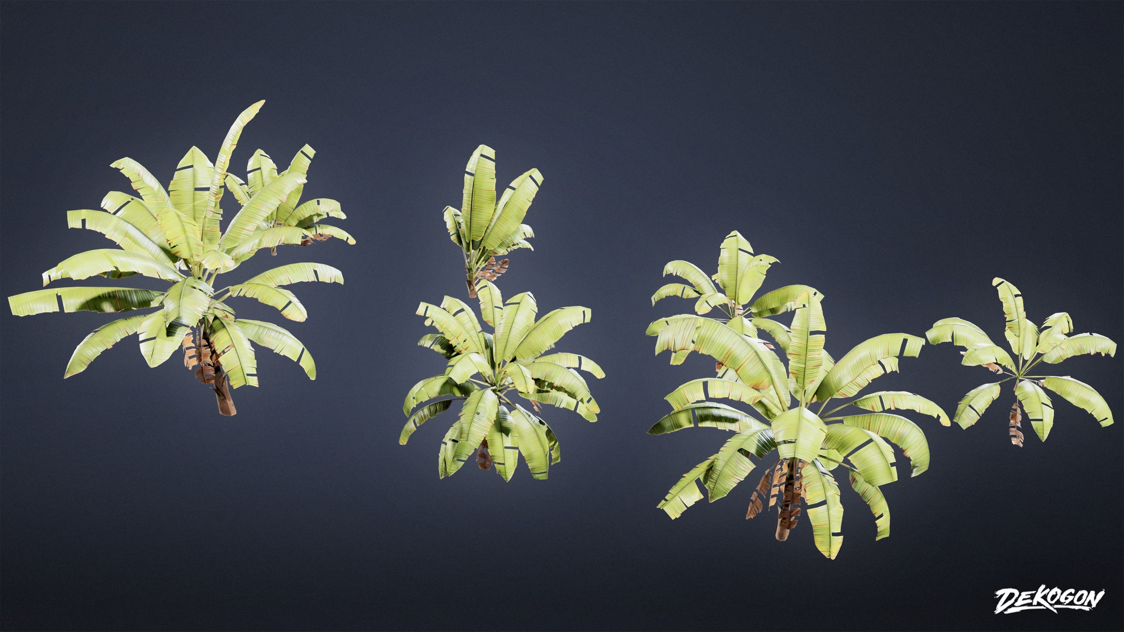 TROPICAL FOLIAGE - Banana Plants 01 - LOW POLY Low-poly 3D model_7