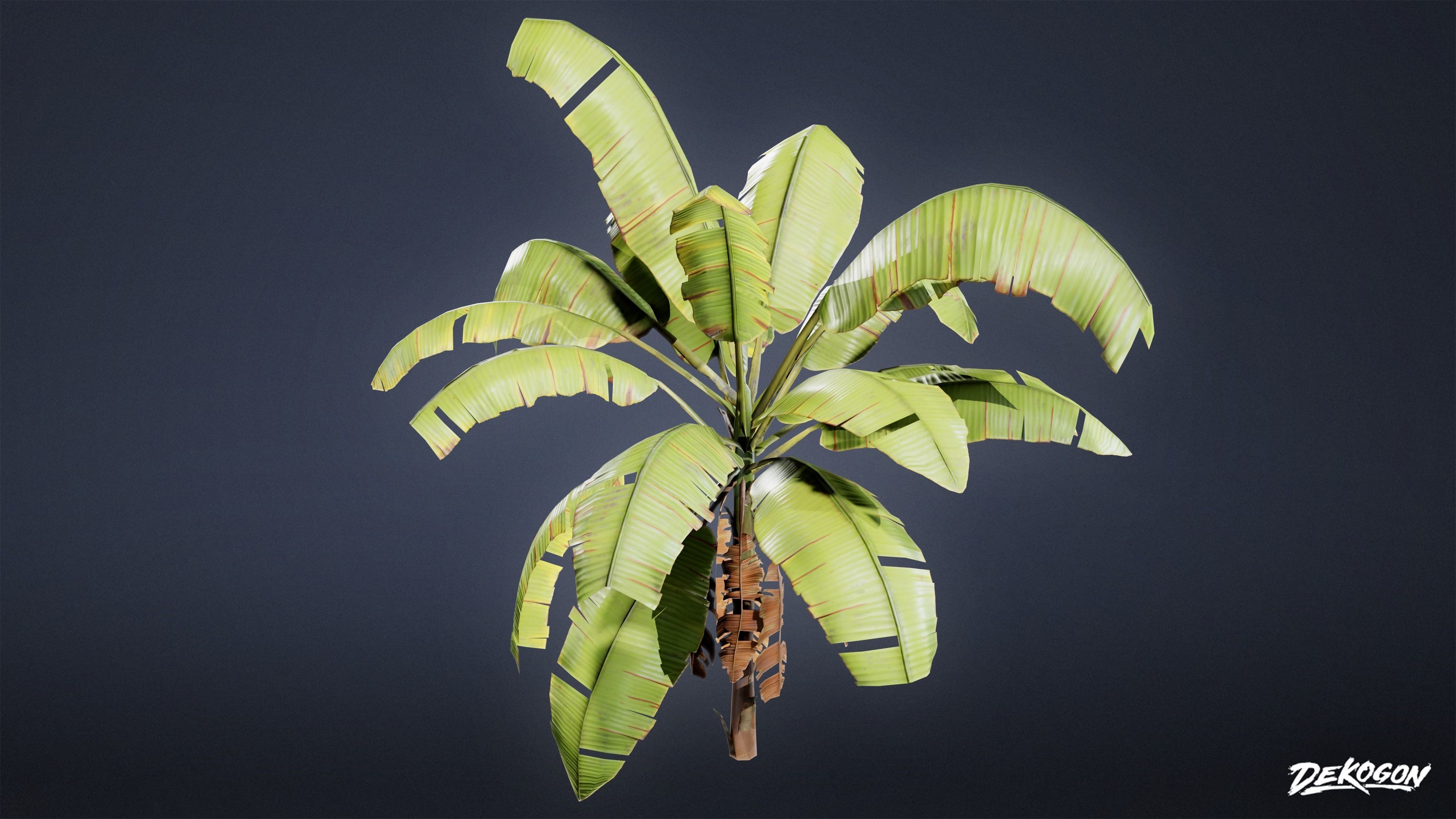 TROPICAL FOLIAGE - Banana Plants 01 - LOW POLY Low-poly 3D model_9
