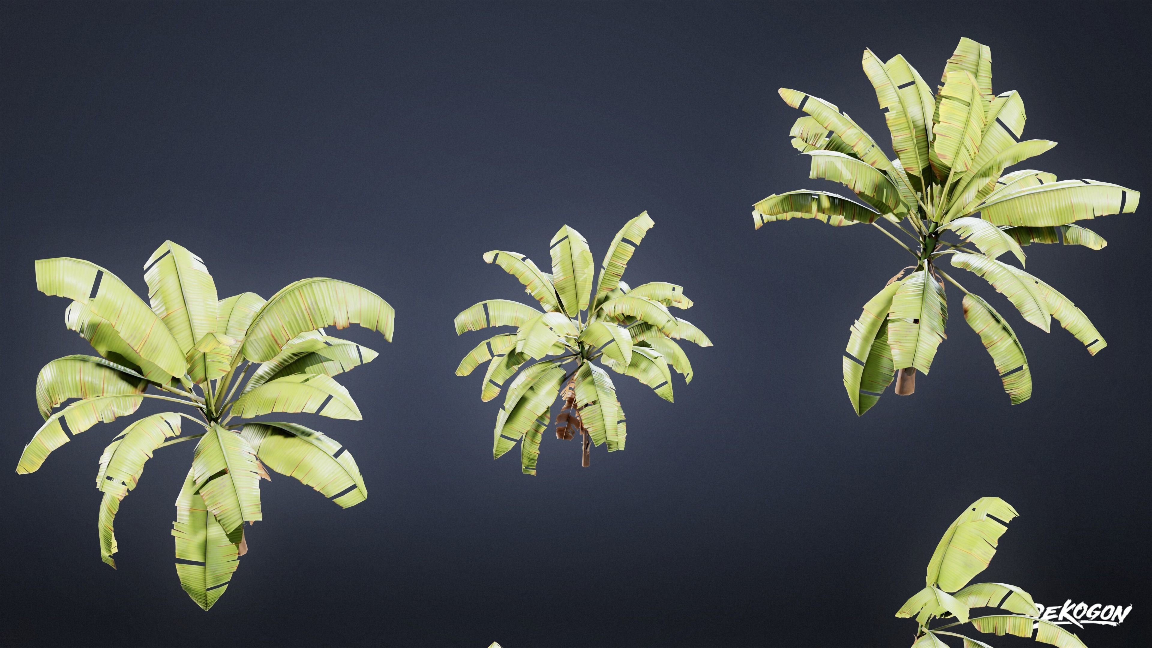 TROPICAL FOLIAGE - Banana Plants 01 - LOW POLY Low-poly 3D model_5