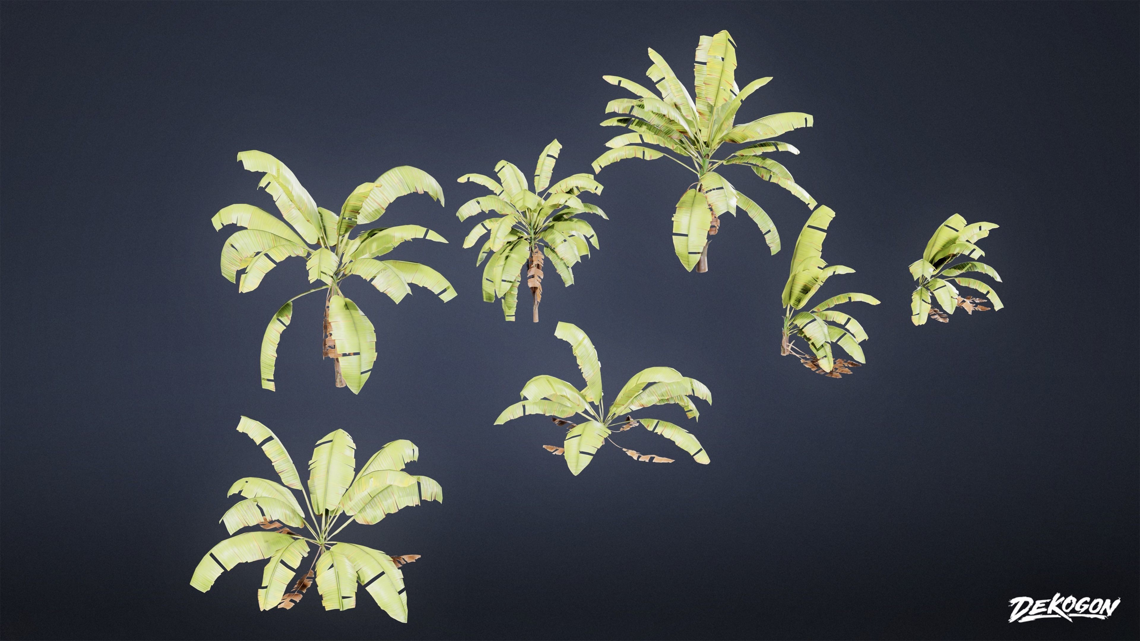 TROPICAL FOLIAGE - Banana Plants 01 - LOW POLY Low-poly 3D model_4