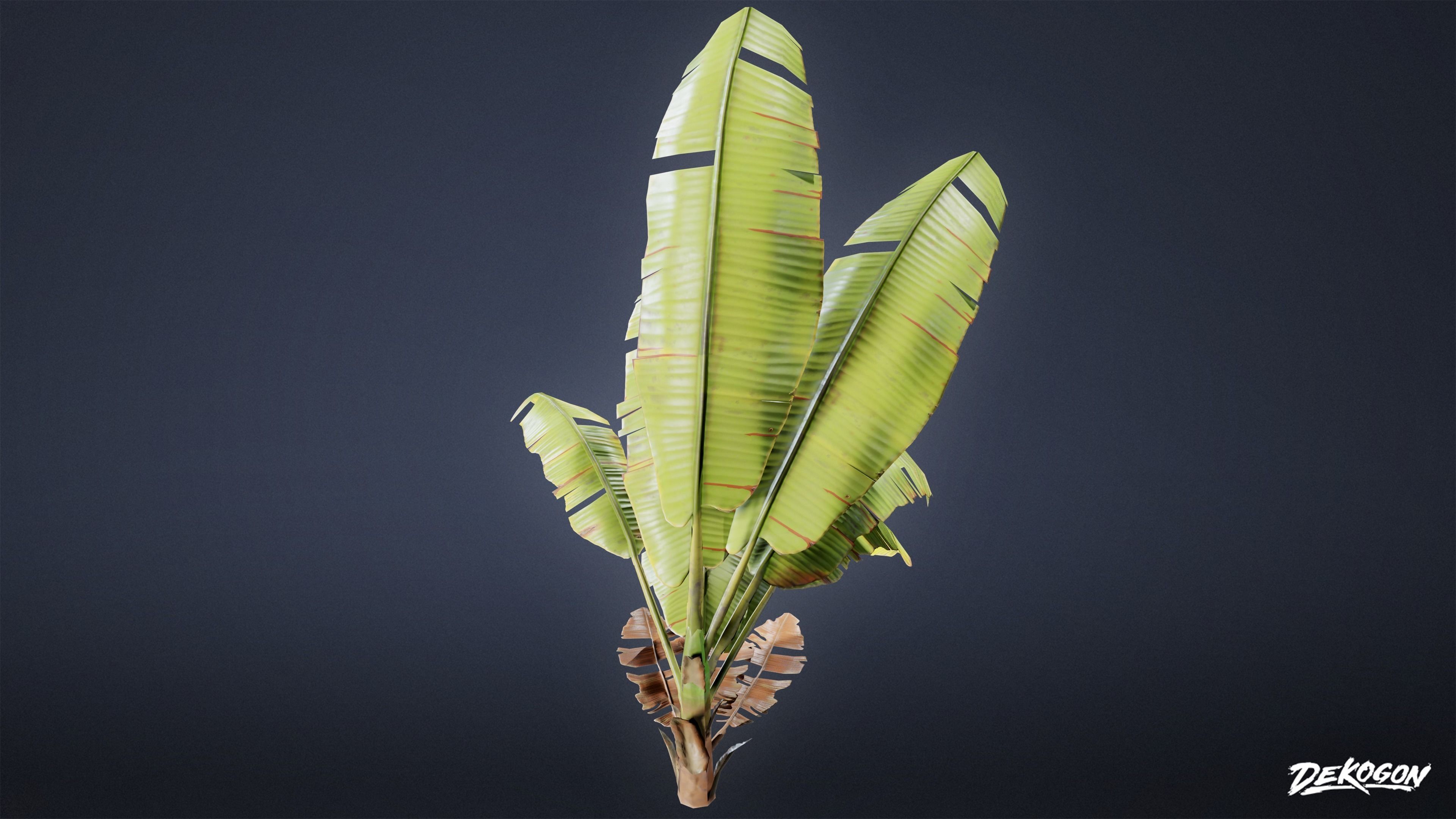 TROPICAL FOLIAGE - Banana Plants 01 - LOW POLY Low-poly 3D model_14
