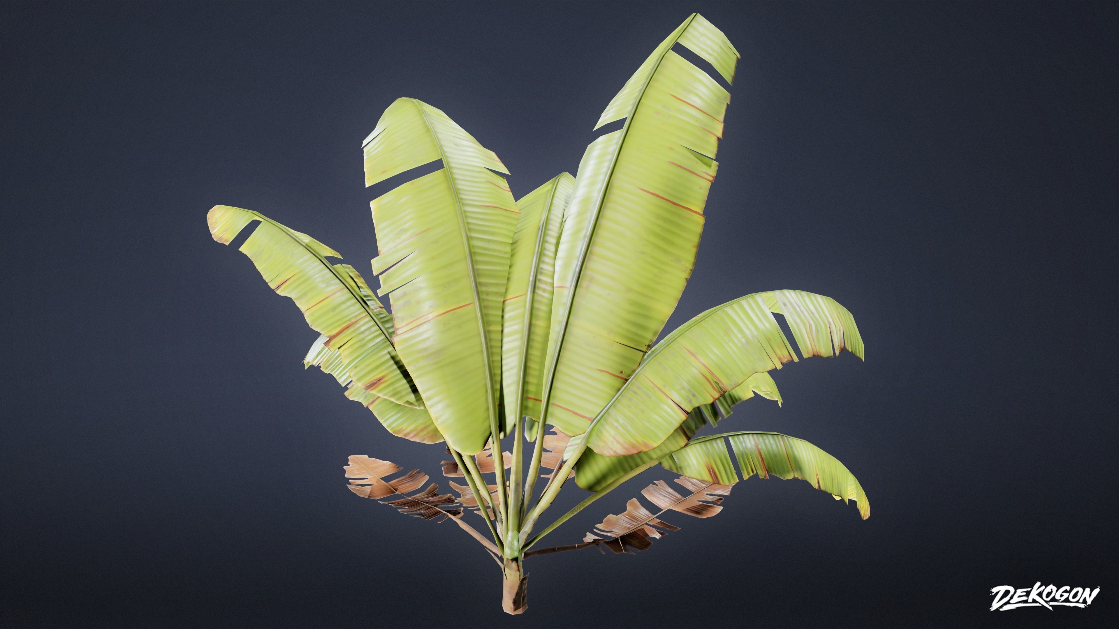 TROPICAL FOLIAGE - Banana Plants 01 - LOW POLY Low-poly 3D model_13