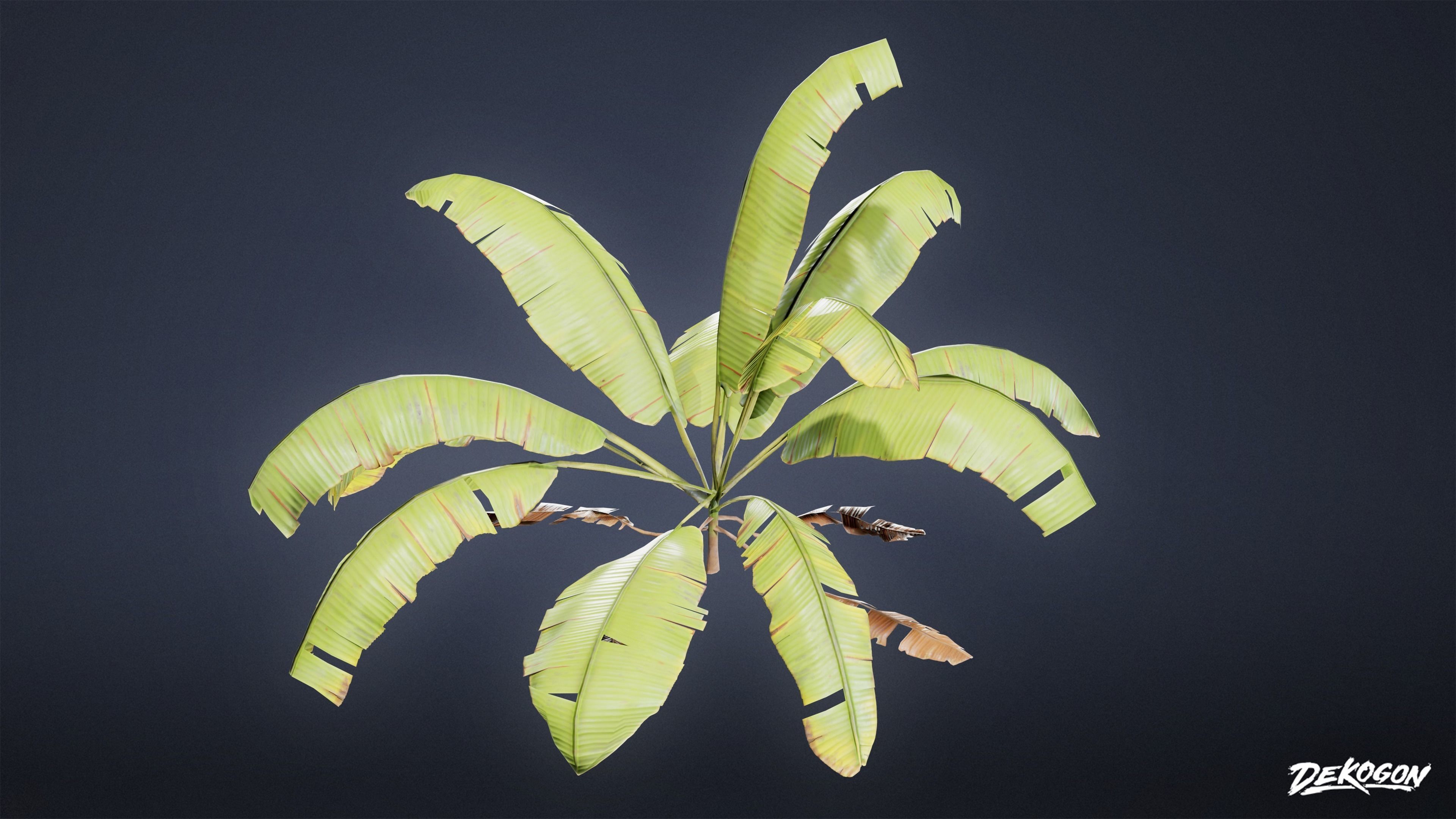 TROPICAL FOLIAGE - Banana Plants 01 - LOW POLY Low-poly 3D model_12