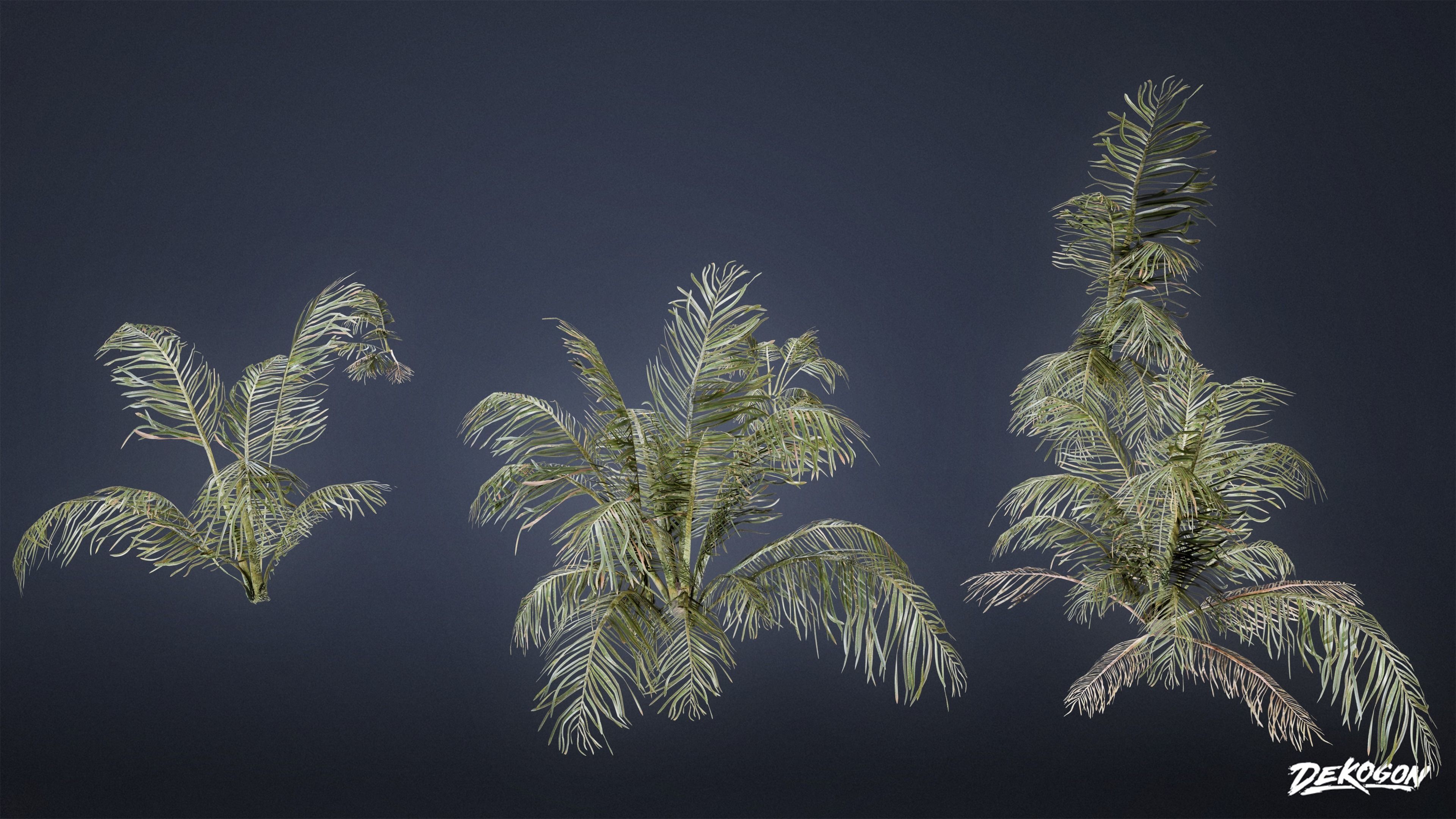 TROPICAL FOLIAGE - Palms 01 - LOW POLY Low-poly 3D model_4