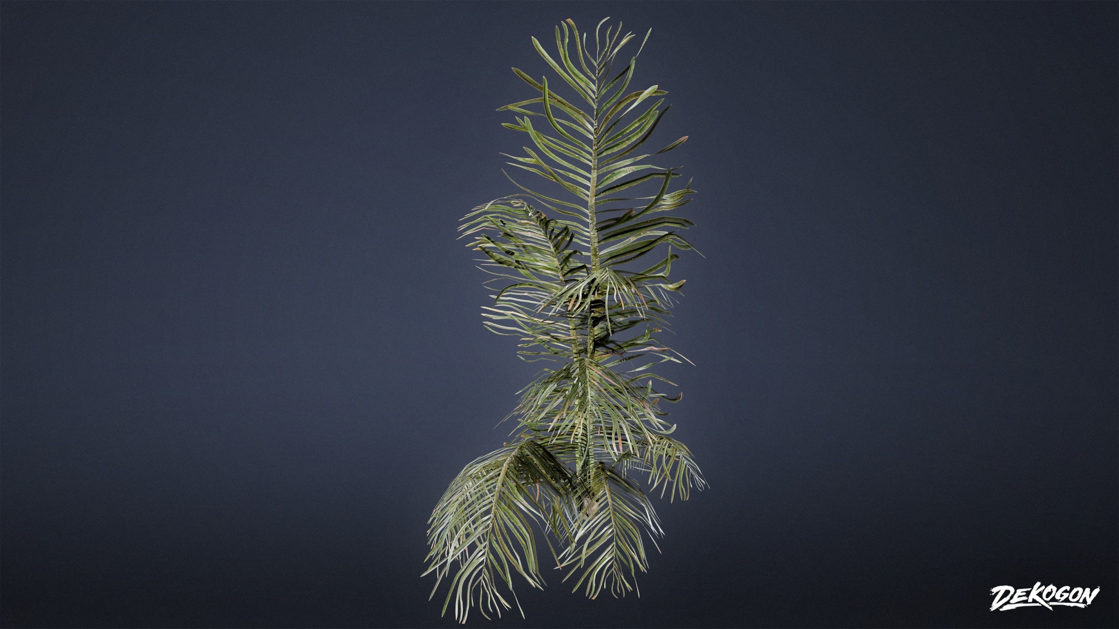 TROPICAL FOLIAGE - Palms 01 - LOW POLY Low-poly 3D model_12